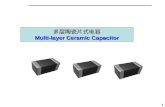 多层陶瓷片式电容 Multi-layer Ceramic Capacitor