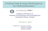 Probing Dark Energy Birefringence  by CMB polarization