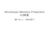 Mondriaan Memory Protection の調査