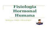 Fisiologia Hormonal Humana