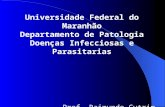 Universidade Federal do Maranhão Departamento de Patologia Doenças Infecciosas e Parasitarias