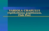 VARIOLA CRAPULUI ( Epithelioma papillosum, Fish Pox )