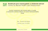 Proces nastavení sítě služeb péče o osoby s duševním onemocněním na území Karlovarského kraje