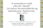 Erindi 14.10. 2005 á málþingi 3f um fjarnám og –kennslu