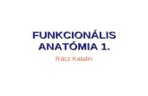 FUNKCIONÁLIS ANATÓMIA 1.