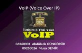 VoIP (Voice Over IP)