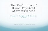 The Evolution of Human Physical Attractiveness Steven W. Gangestad & Glenn J. Scheyd
