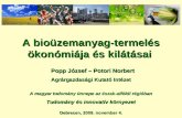 A bioüzemanyag-termelés ökonómiája és kilátásai