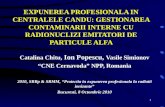 Catalina Chitu,  Ion Popescu,  Vasile Simionov “CNE Cernavoda” NPP, Romania