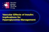 Vascular Effects of Insulin: Implications for Hyperglycemia Management