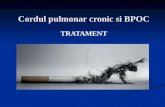 Cordul pulmonar cronic si BPOC