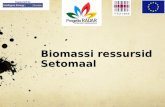 Biomassi ressursid Setomaal