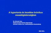 A hypertonia és kezelése krónikus veseelégtelenségben