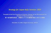 Strategy for Japan-Italy Seminar 2003
