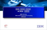 인터넷 마케팅과 성공적인  eCRM  추진전략 2001. 02. 02 IBM e-Marketing & Creative Consulting 민 승 재 차장