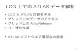 LCG 上での ATLAS データ解析