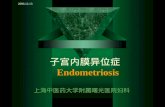 子宫内膜异位症 Endometriosis