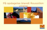 På opdagelse blandt Roussillon vinene