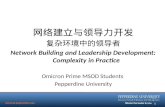 网络建立与领导力开发 复杂环境中的领导者 Network Building and Leadership Development: Complexity in Practice