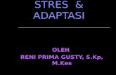 STRES  & ADAPTASI