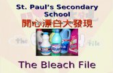St. Paul’s Secondary School Registration No.  :BCh24