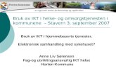 Bruk av IKT i helse- og omsorgstjenesten i kommunene  – Stavern 3. september 2007
