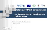 Lietuvos VDDB suk ūrimas:  e. dokumentų rengimas ir talpinimas