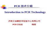 PCR 技术介绍 Introduction to PCR Technology