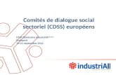 Comitésde dialogue social sectoriel (CDSS)  européens ETUI/Séminaire IndustriAll  Europe Budapest
