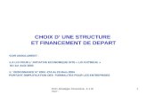 CHOIX D’ UNE STRUCTURE  ET FINANCEMENT DE DEPART
