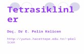 Tetrasiklinler Doç. Dr E. Pelin Kelicen yunus.hacettepe.tr/~pkelicen