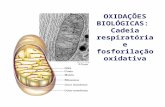 OXIDAÇÕES BIOLÓGICAS:  Cadeia respiratória e fosforilação oxidativa