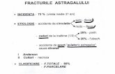 Fractures totales : Fractures-séparation   (70 %)
