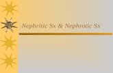 Nephritic Sx & Nephrotic Sx