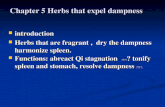 Chapter 5 Herbs that expel dampness