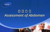 腹 部 评 估 Assessment of Abdomen