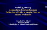 Prof. Dr.  Nuri KİRAZ Mikoloji Uzmanı Mikrobiyoloji ve Klinik Mikrobiyoloji Uzmanı