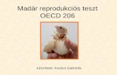 Madár reprodukciós teszt OECD 206