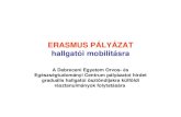 ERASMUS PÁLYÁZAT hallgatói mobilitásra