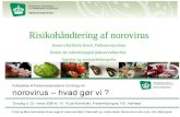 Risikohåndtering af norovirus Kontorchef Karin Breck, Fødevarestyrelsen