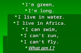 I’m green,  I’m long. I live in water. I live in Africa. I can swim, I can’t run, I can’t fly.