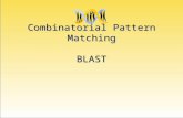 Combinatorial Pattern Matching BLAST