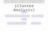 การวิเคราะห์กลุ่ม ( Cluster  Analysis )
