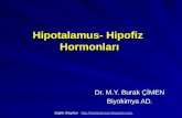 Hipotalamus- Hipofiz  Hormonları