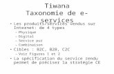 Tiwana Taxonomie de e-services