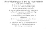 Peter Nedergaard: EU og lobbyismen