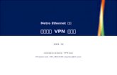 Metro Ethernet  기반 프리미엄  VPN  서비스