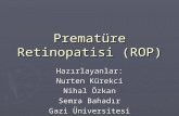 Prematüre Retinopatisi (ROP)