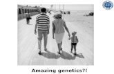 Amazing genetics?!