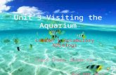Unit 3 Visiting the Aquarium